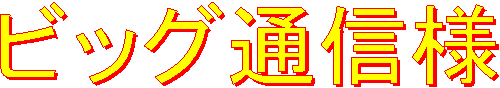 ビッグ通信様